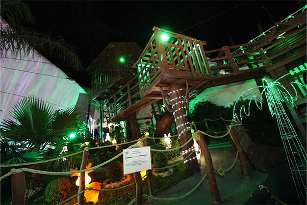Jardín 2